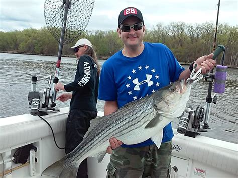 striper forum|hudson river striper fishing reports.